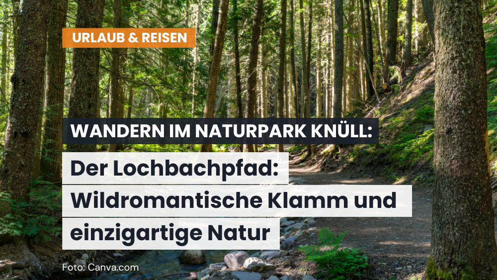 Fabelwege im Naturpark Knüll – Der Lochbachpfad