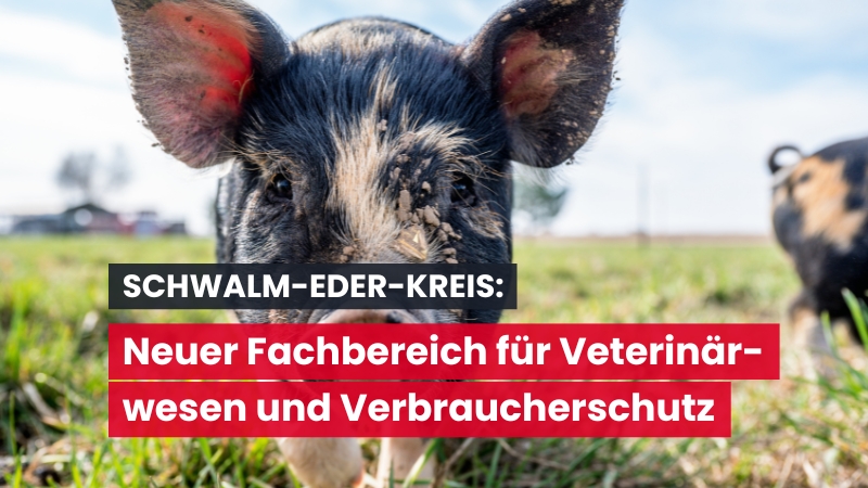 Veterinärwesen und Verbraucherschutz: Neuer Fachbereich 39 ab 2025