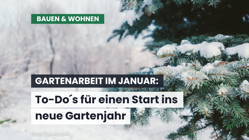 Gartenarbeit im Januar: So schützt du Pflanzen und startest ins neue Gartenjahr