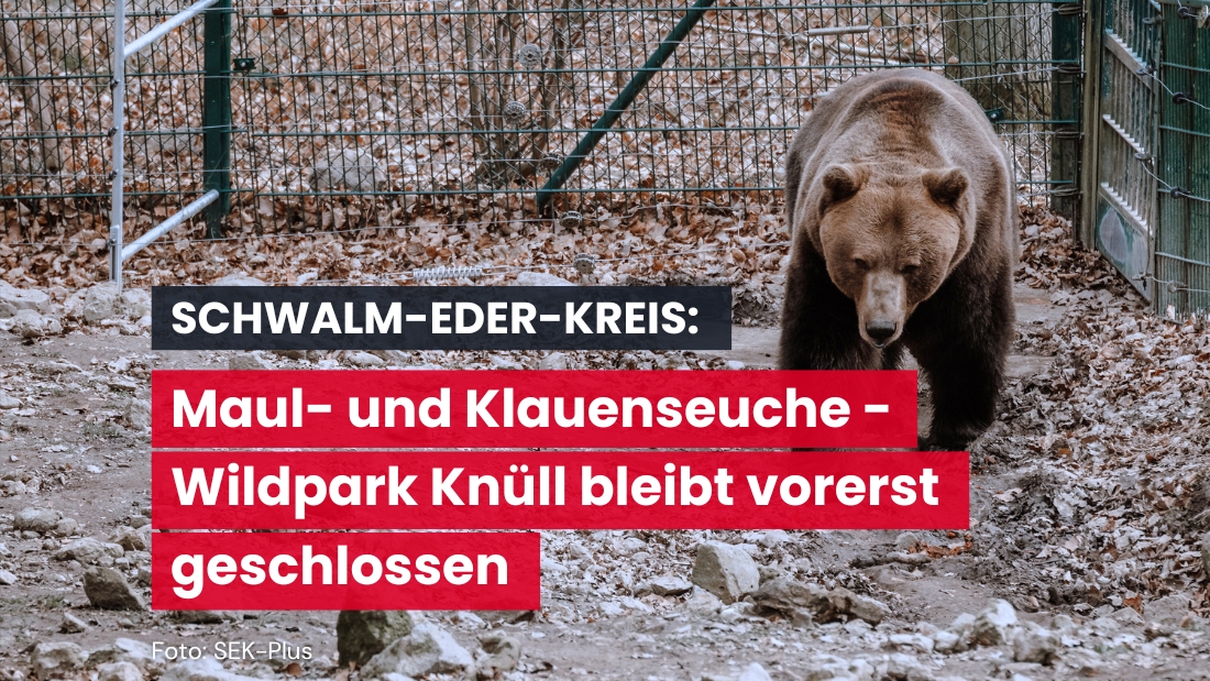 Wildpark Knüll wegen Maul- und Klauenseuche vorsichtshalber geschlossen