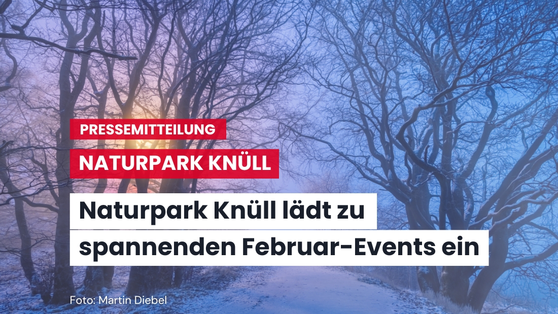 Natur erleben im Februar: Veranstaltungen im Naturpark Knüll