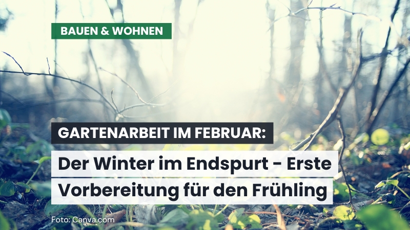 Gartenarbeit im Februar: Erste Vorbereitungen für den Frühling