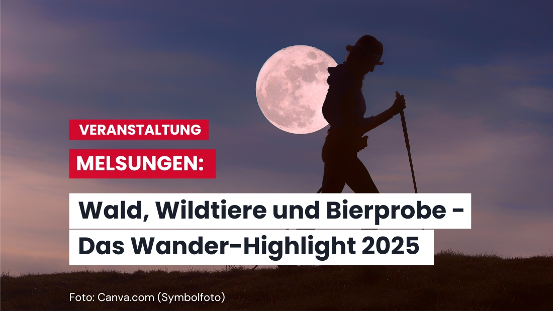 Nachtwanderung im Melsunger Land