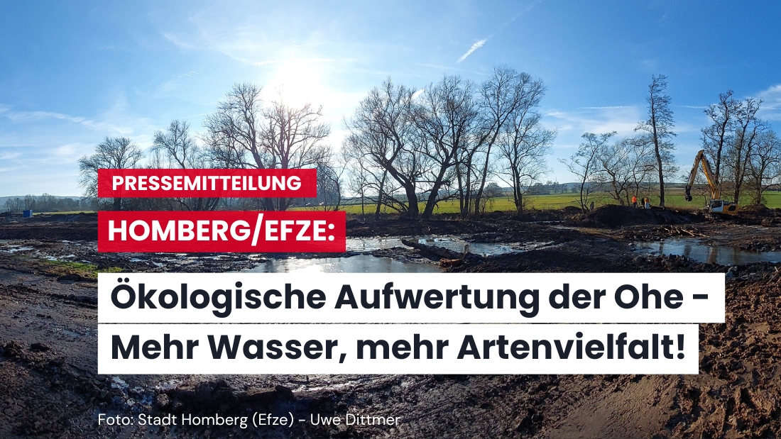 Renaturierung der Ohe: Neue Wasserläufe und Teiche fördern die Artenvielfalt