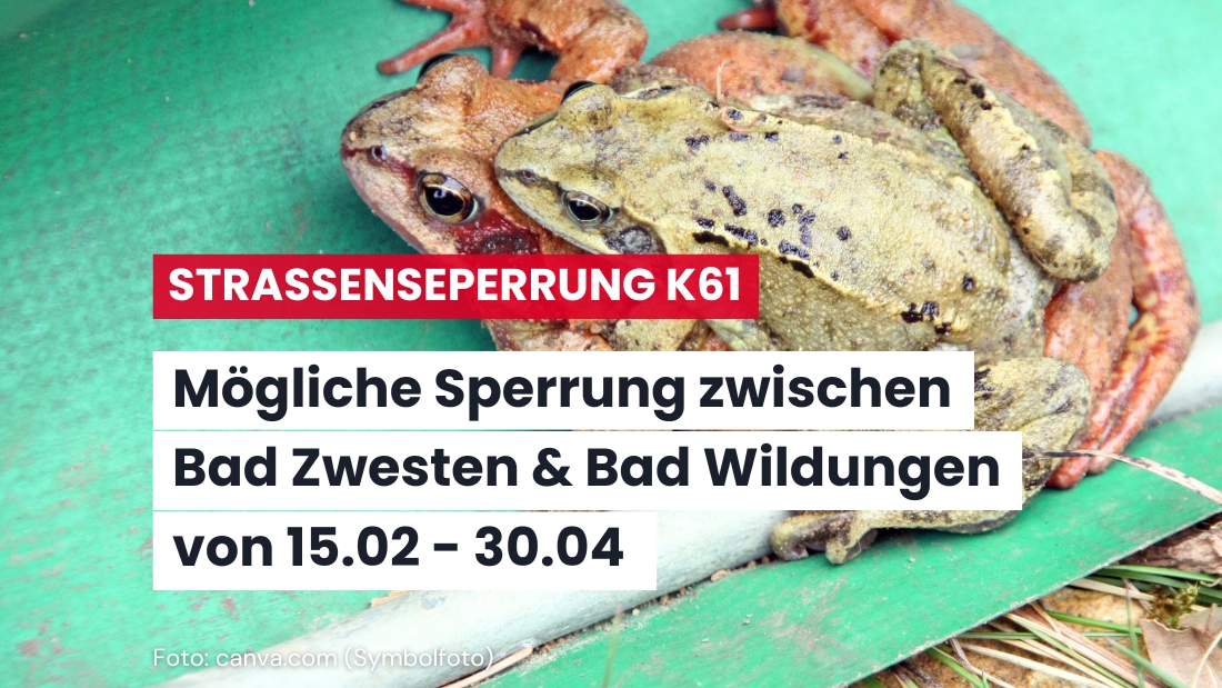Amphibienwanderungen: temporäre Sperrung der K 61 möglich