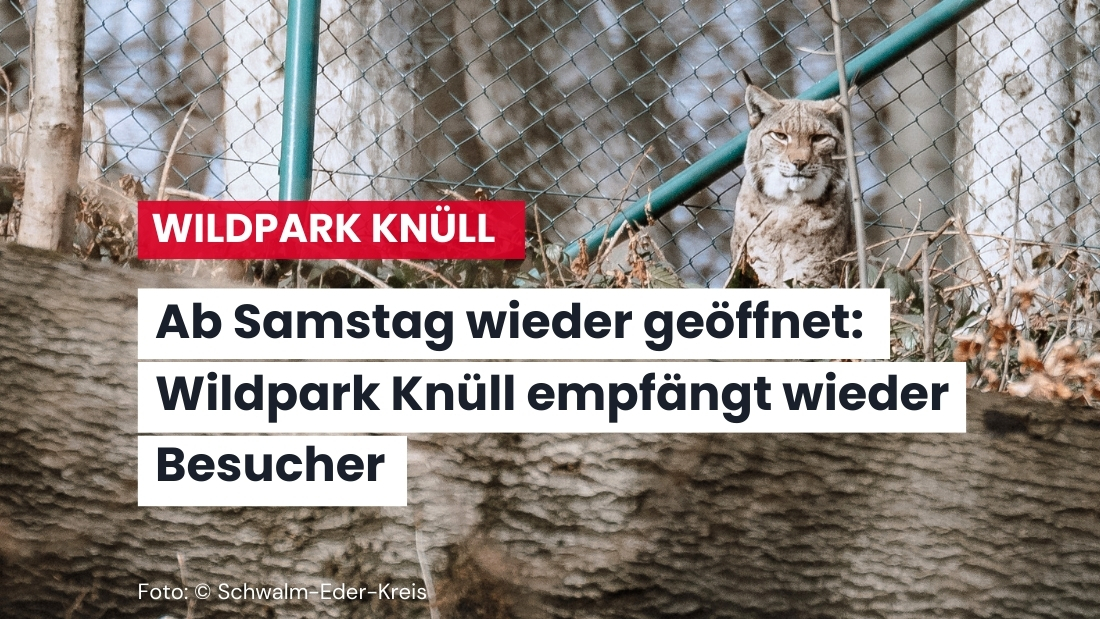 Wildpark Knüll öffnet wieder für Besucher
