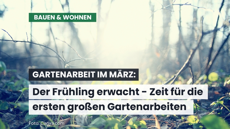 Gartenarbeit im März: Der Frühling erwacht – Zeit für die ersten großen Gartenarbeiten
