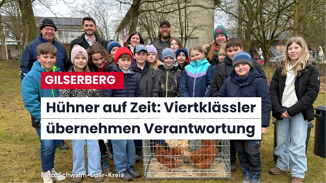 Vier tierische Klassenkameraden