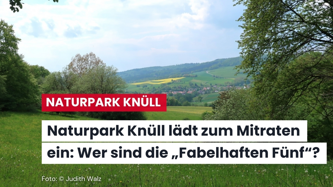 Gewinnspielankündigung – Wer sind die Fabelhaften Fünf im Naturpark Knüll?