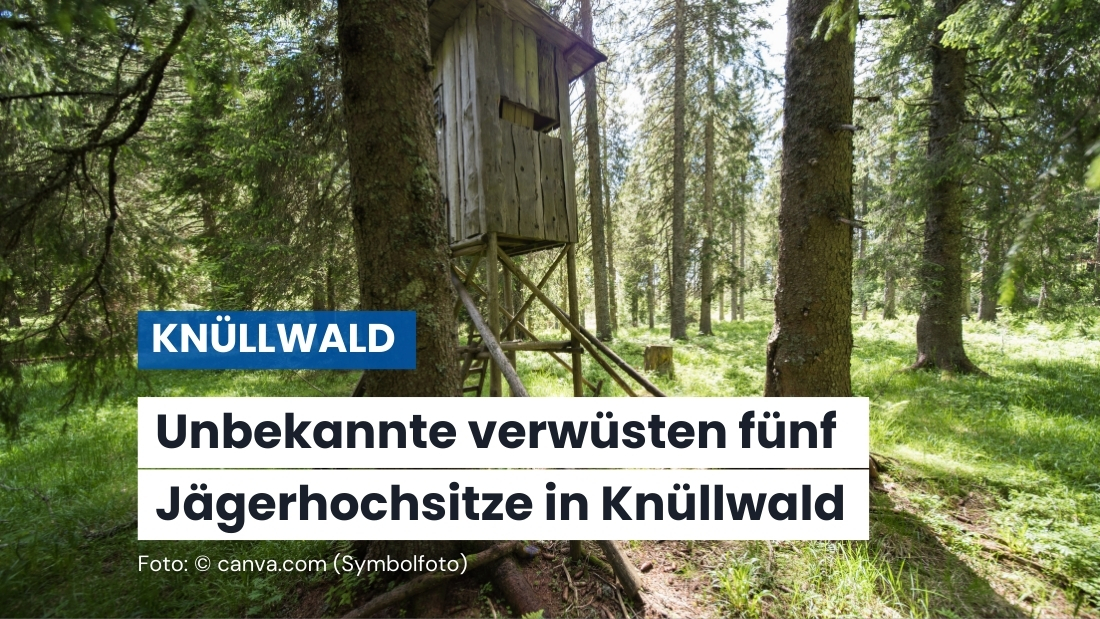 Mehrere Hochsitze im Waldgebiet Katzenhau beschädigt
