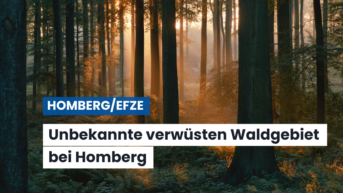 Jagdhochsitze beschädigt – Bienenstock zerstört