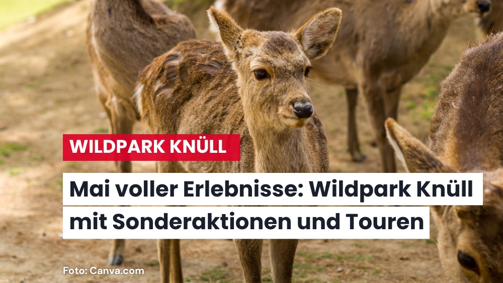 Muttertag und Vatertag im Naturzentrum Wildpark Knüll –freier Eintritt für die Gefeierten
