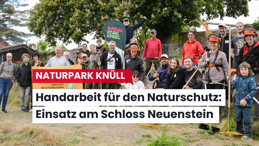 Gemeinsam für die biologische Vielfalt – Freiwillige mähen im Naturpark Knüll einen Steilhang