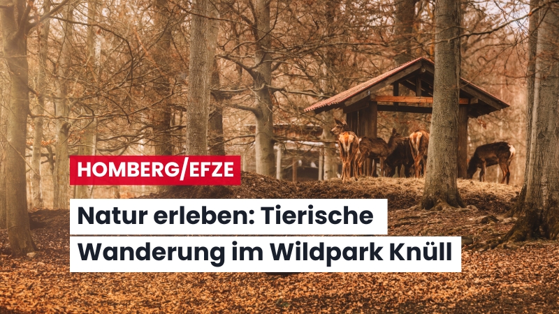 Tierisch was erleben: Wanderung im Wildpark Knüll mit Naturwart Otto Naumann