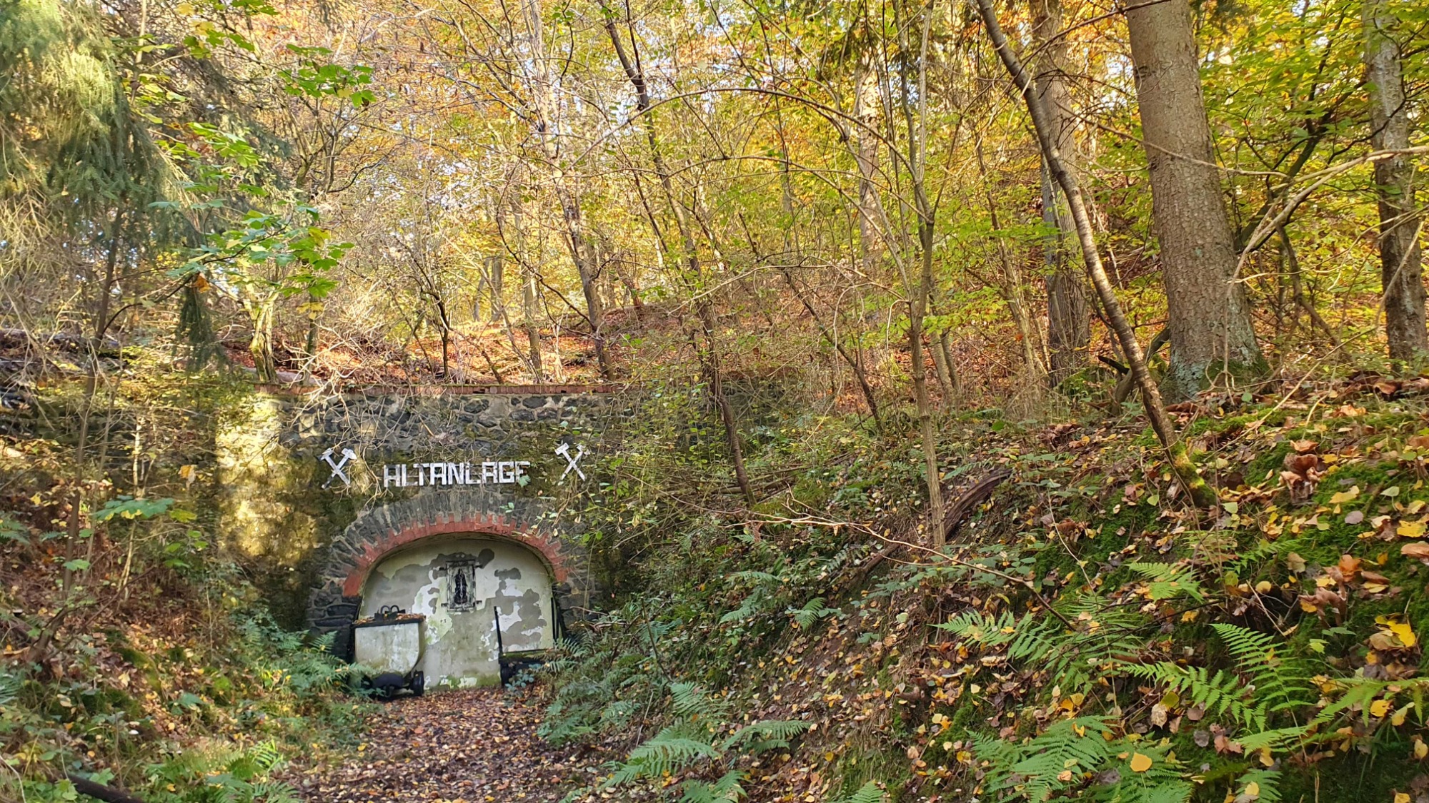 Veranstaltungen des Naturparks Knülls im Juli