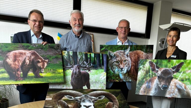 Ein Stück Wildpark Knüll in Berchtesgaden